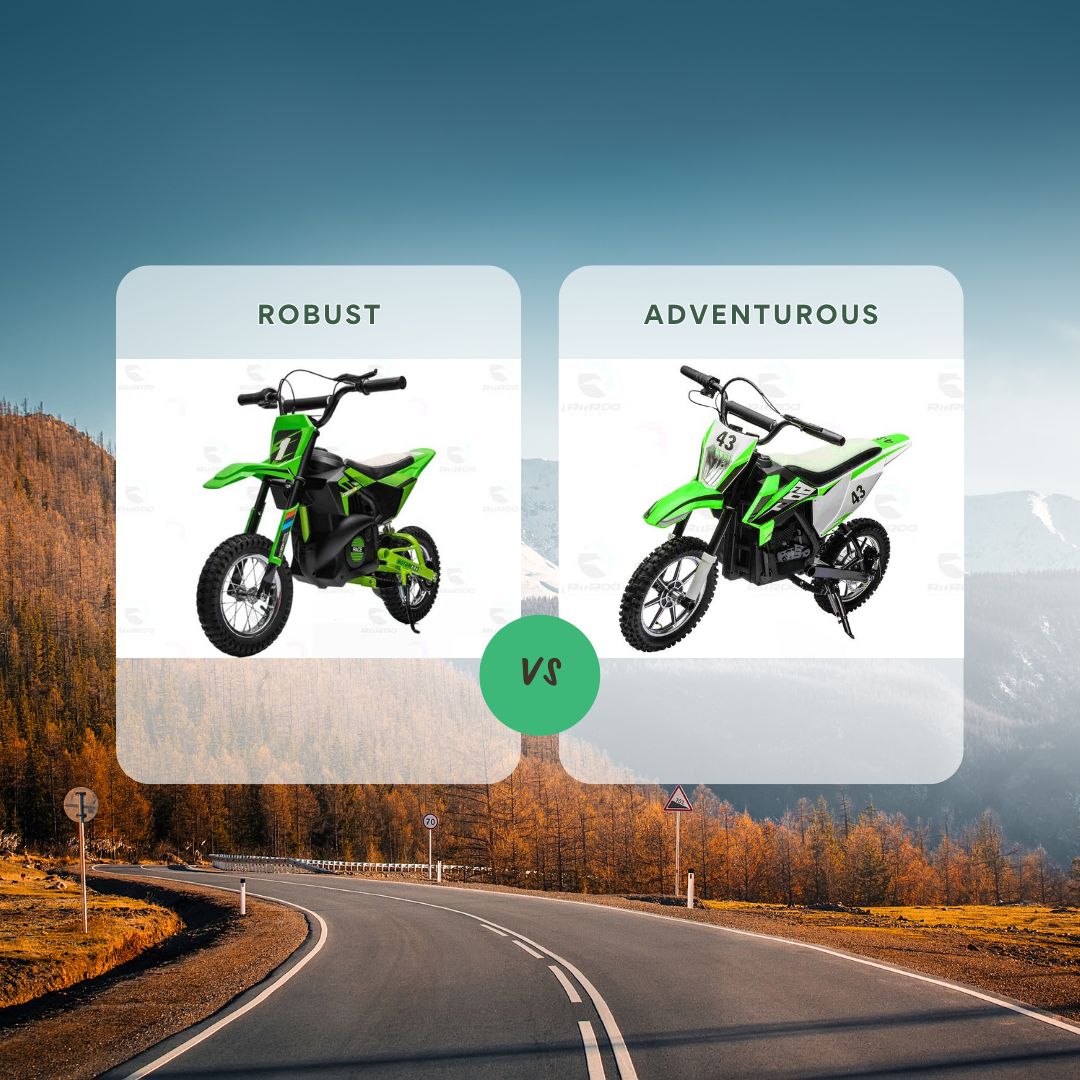 Difference Between The RiiRoo MotoWizz 250W - RiiRoo MotoWizz 500W