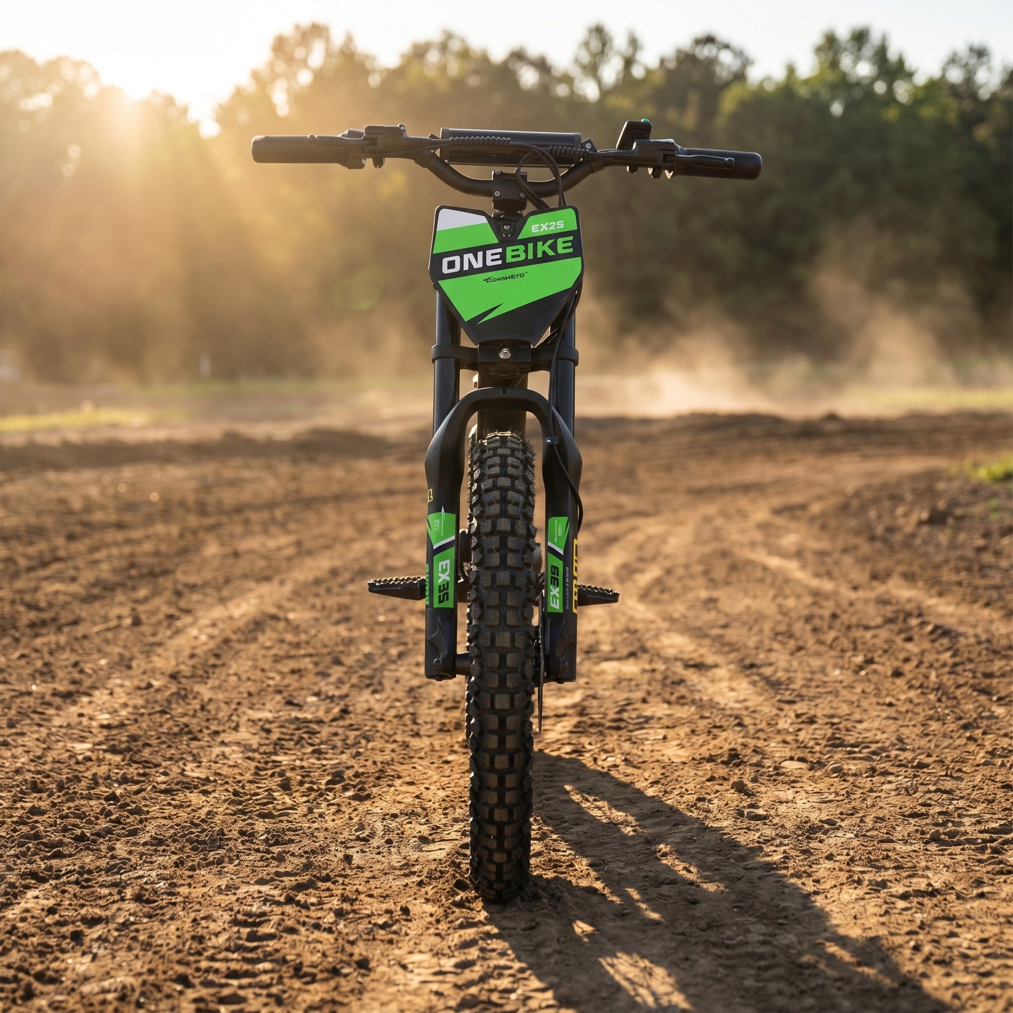20 Inch 750W Electric Balance Stunt Bike - OneBike-EX3S