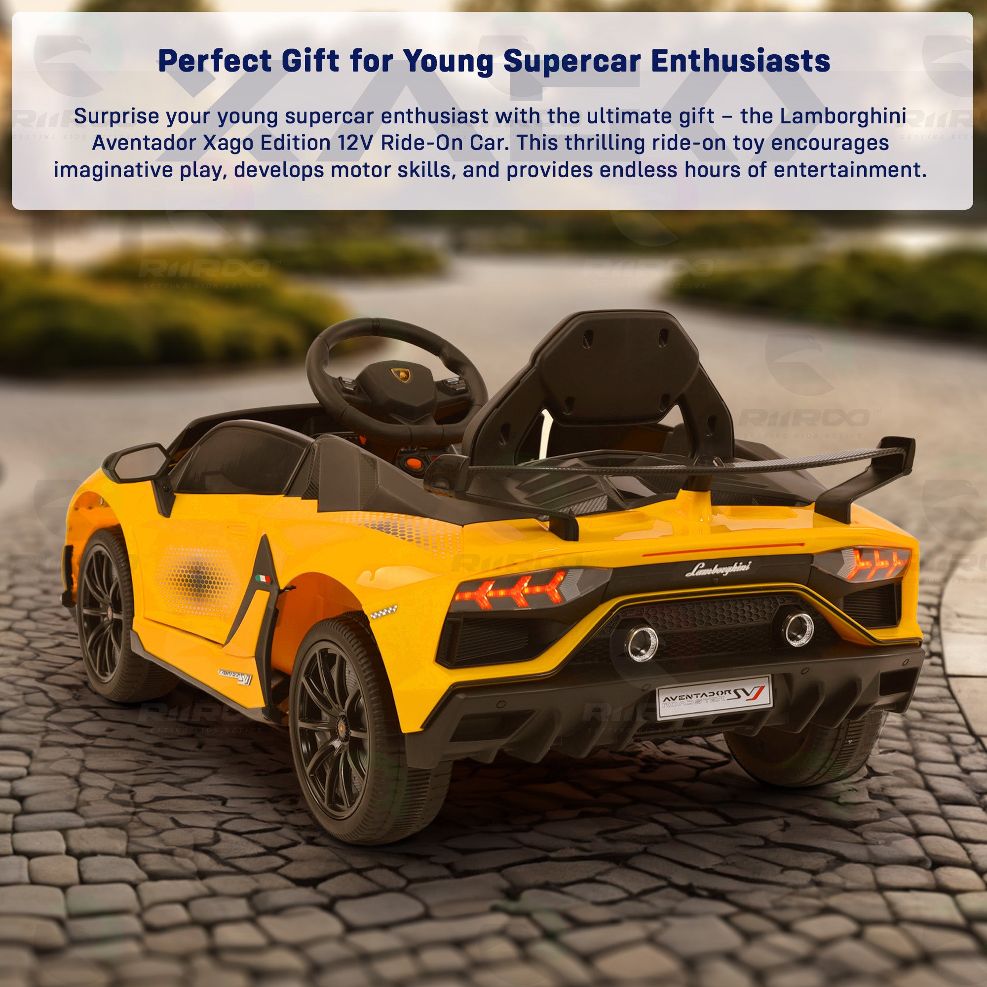 Lamborghini Aventador Xago Single Seater - Licensed