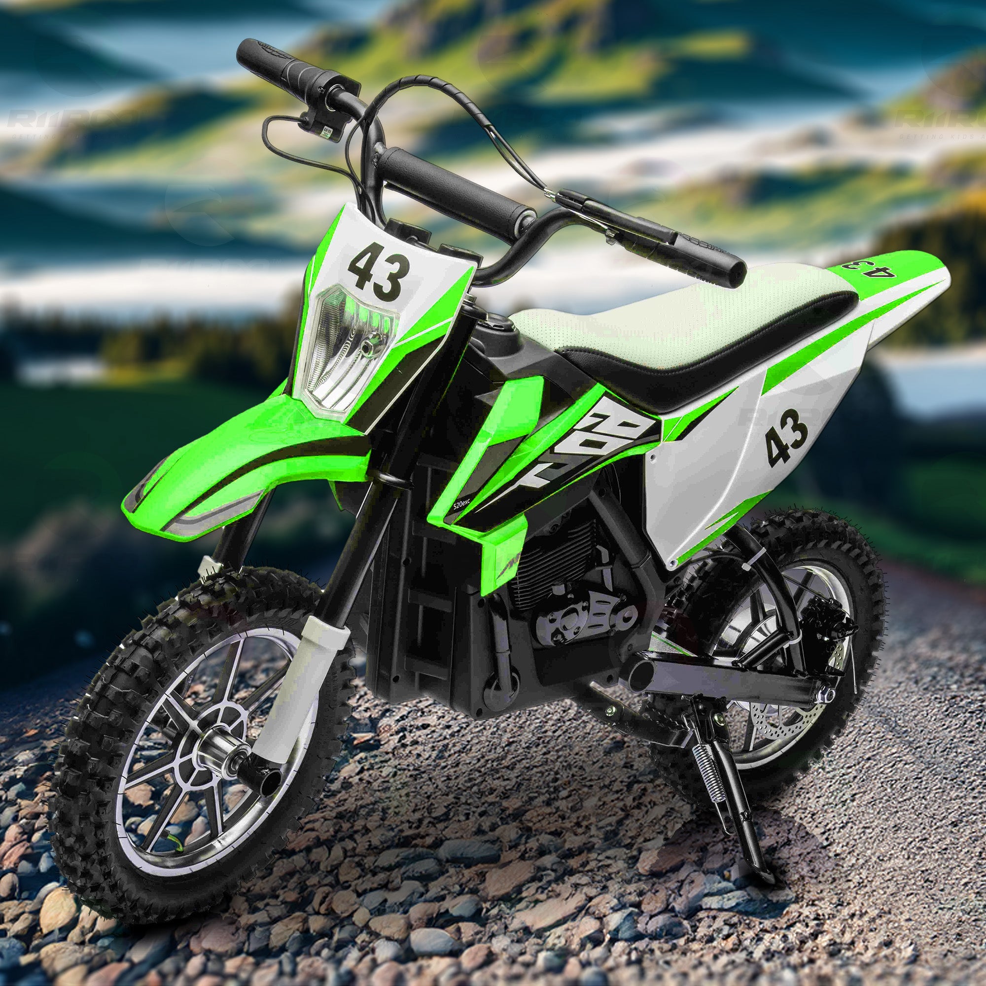 MotoWizz™ 36 V 500 W