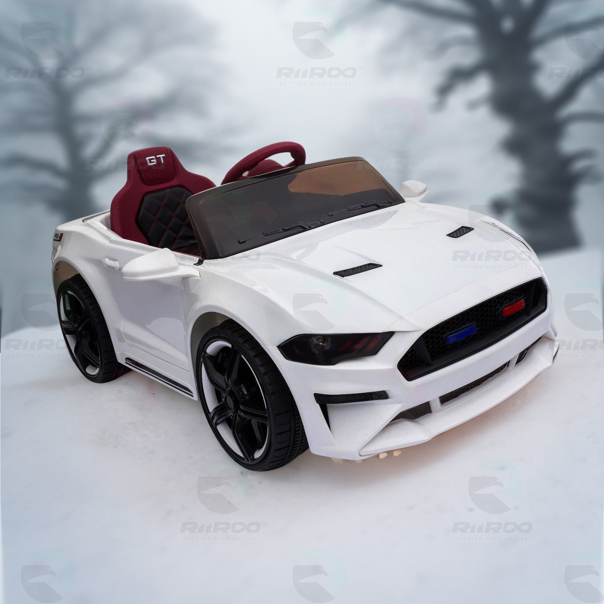RiiRoo 12v Speedster