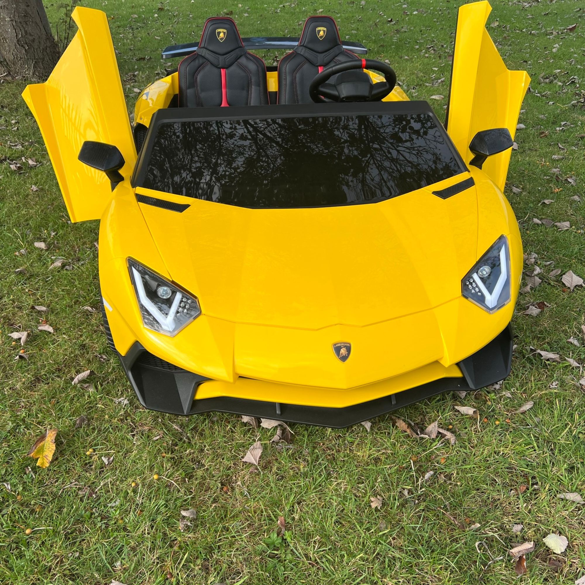 24V Lamborghini Aventador 2 Seater