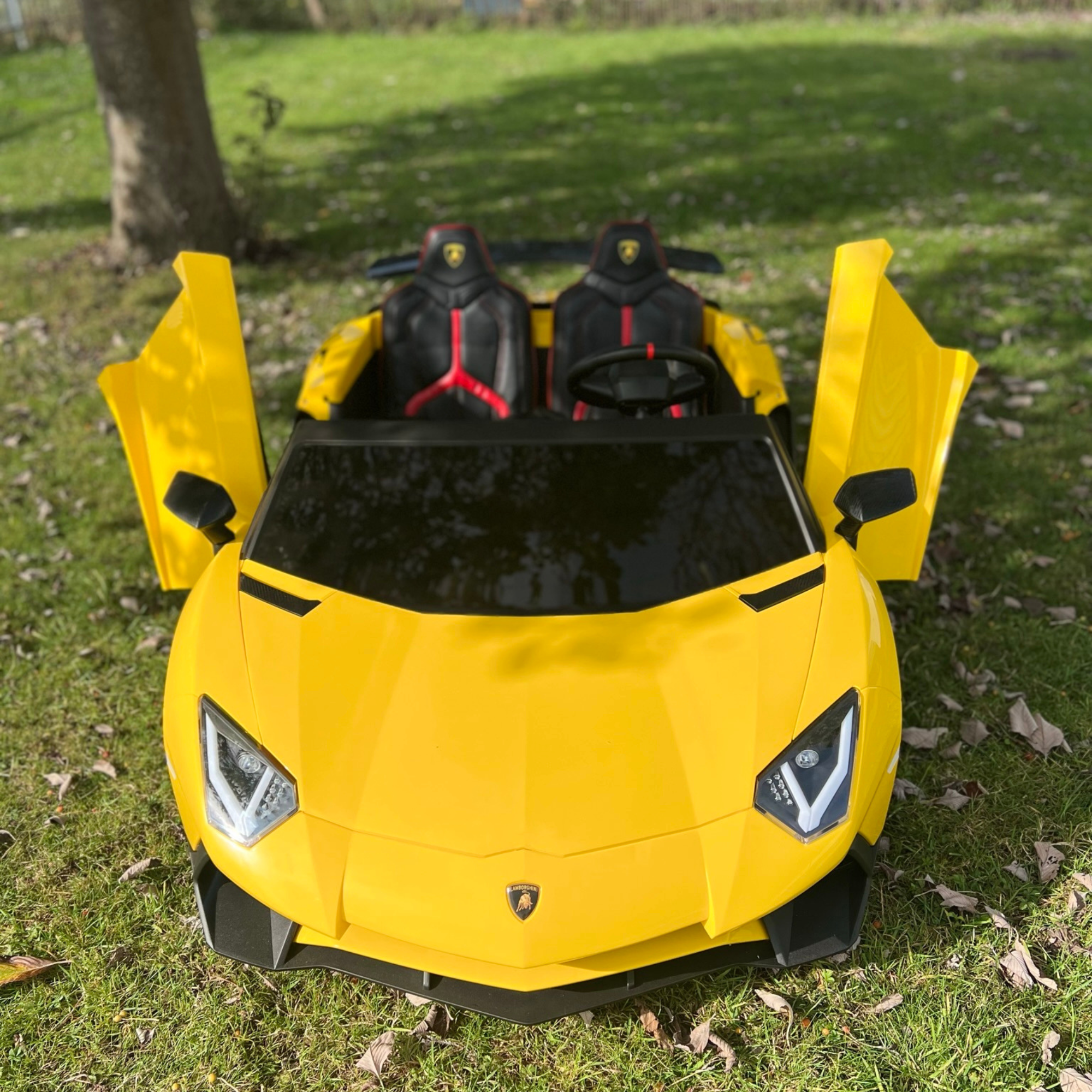 24V Lamborghini Aventador 2 Seater