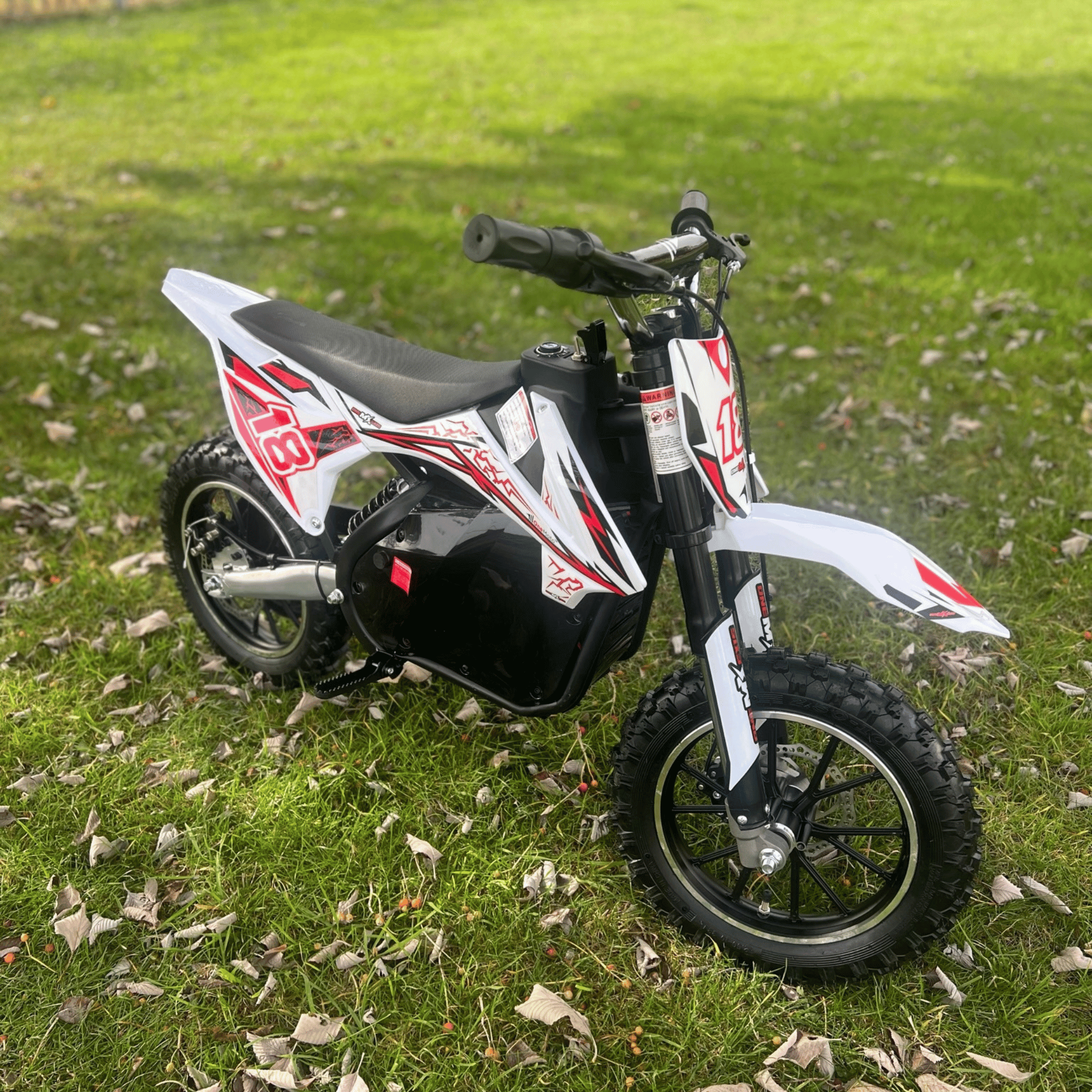 OneMX™ | EX1S | 36 V Lithium | 500 W | Dirtbike