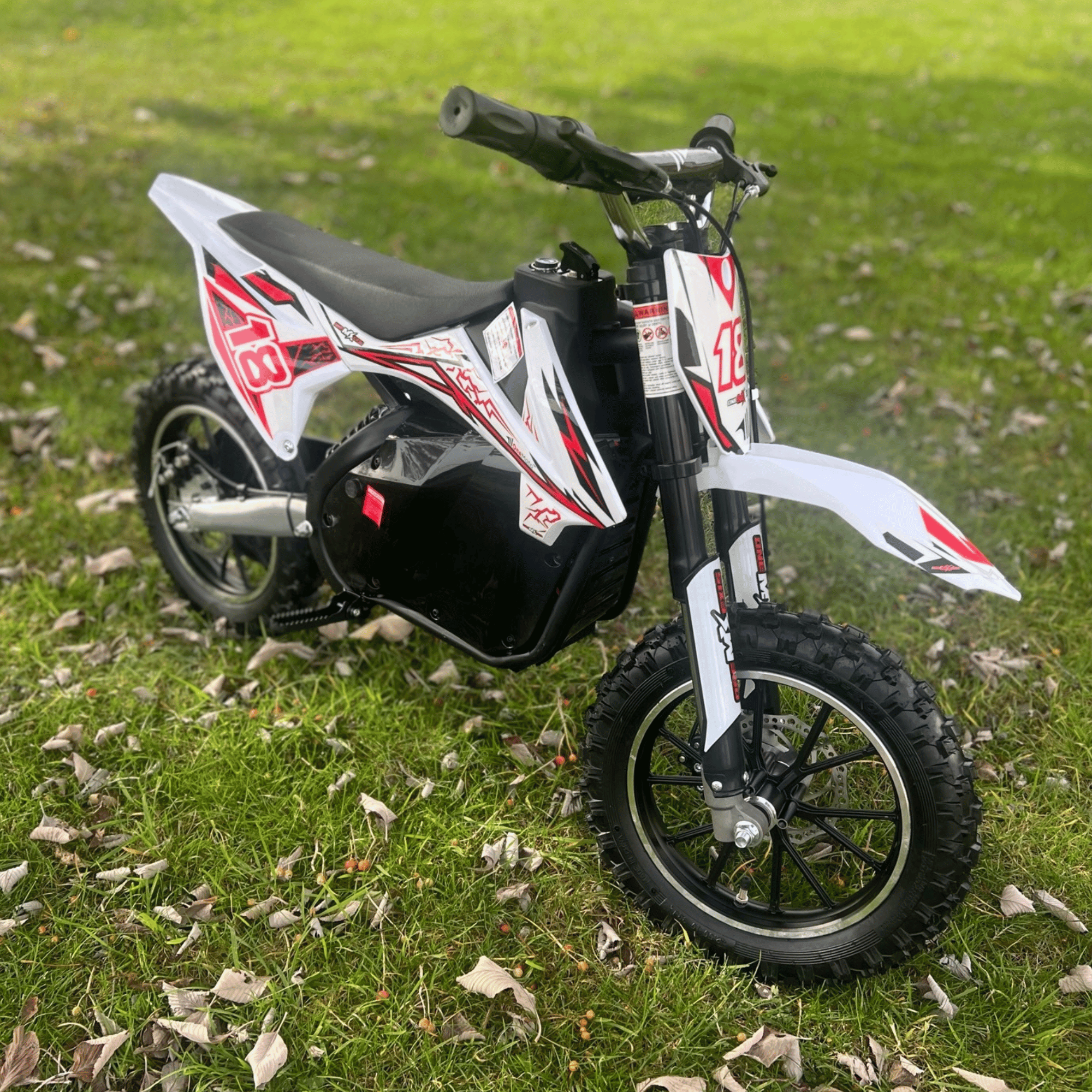 OneMX™ | EX1S | 36 V Lithium | 500 W | Dirtbike