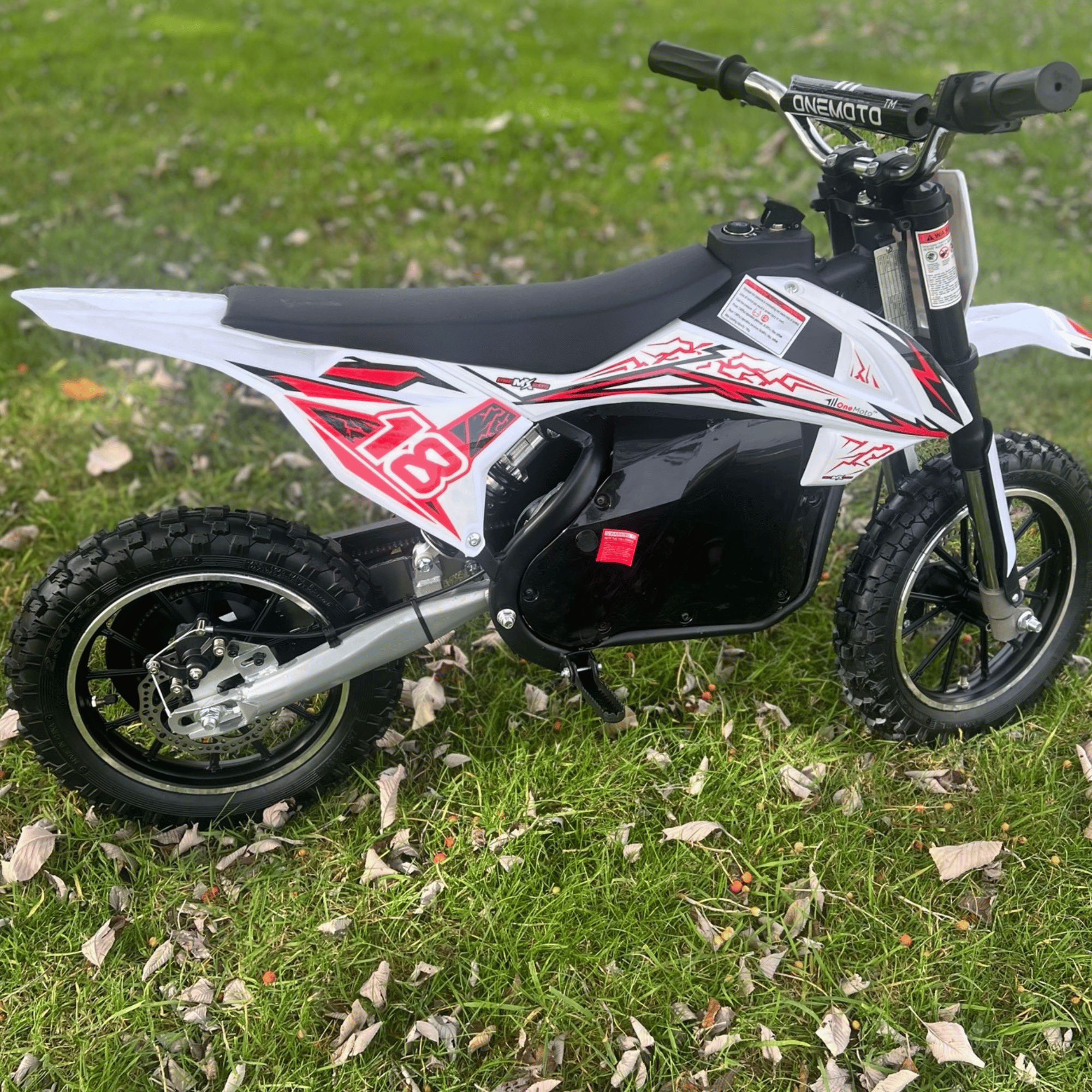 OneMX™ | EX1S | 36 V Lithium | 500 W | Dirtbike