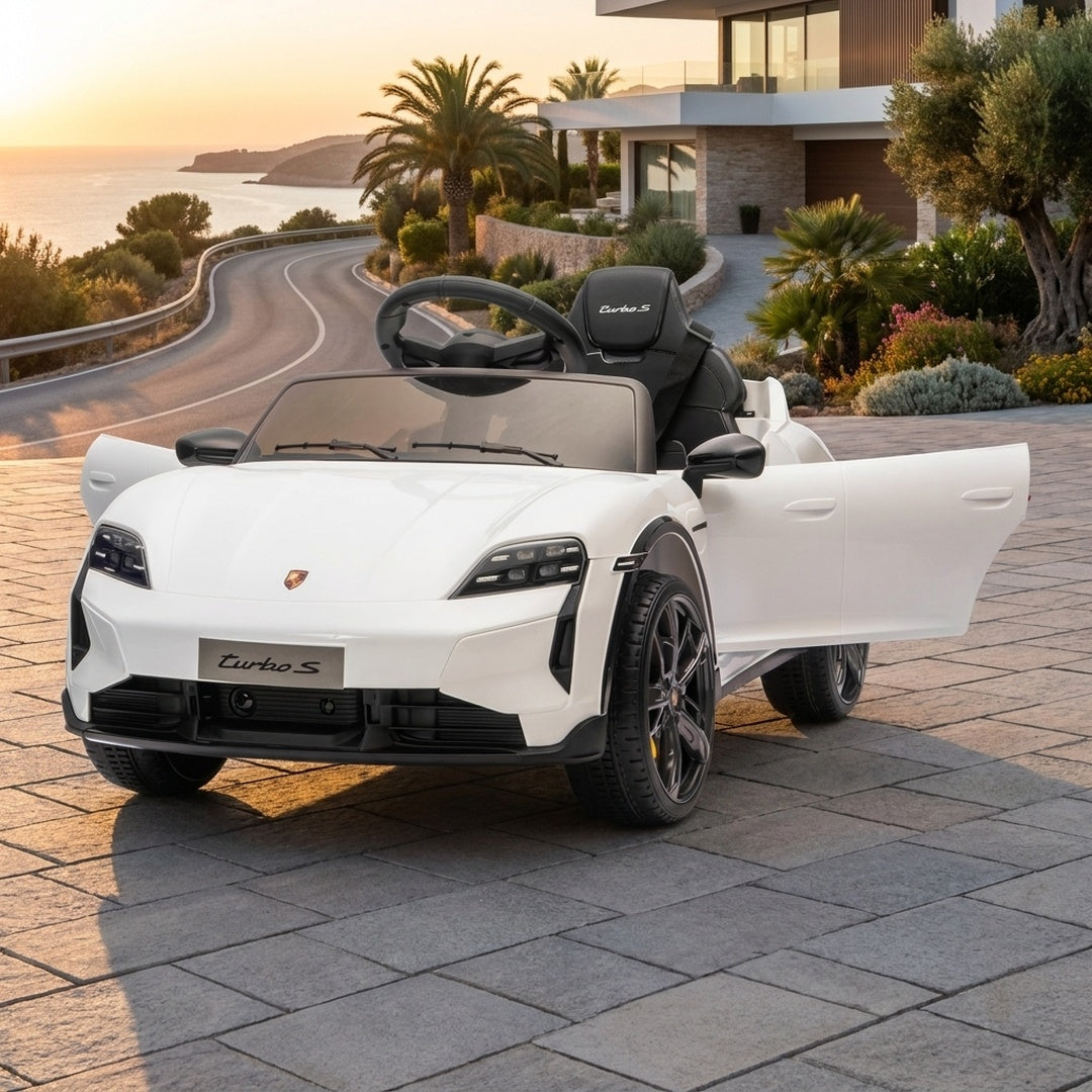 Licensed Porsche Taycan Turbo S - 1 Seater