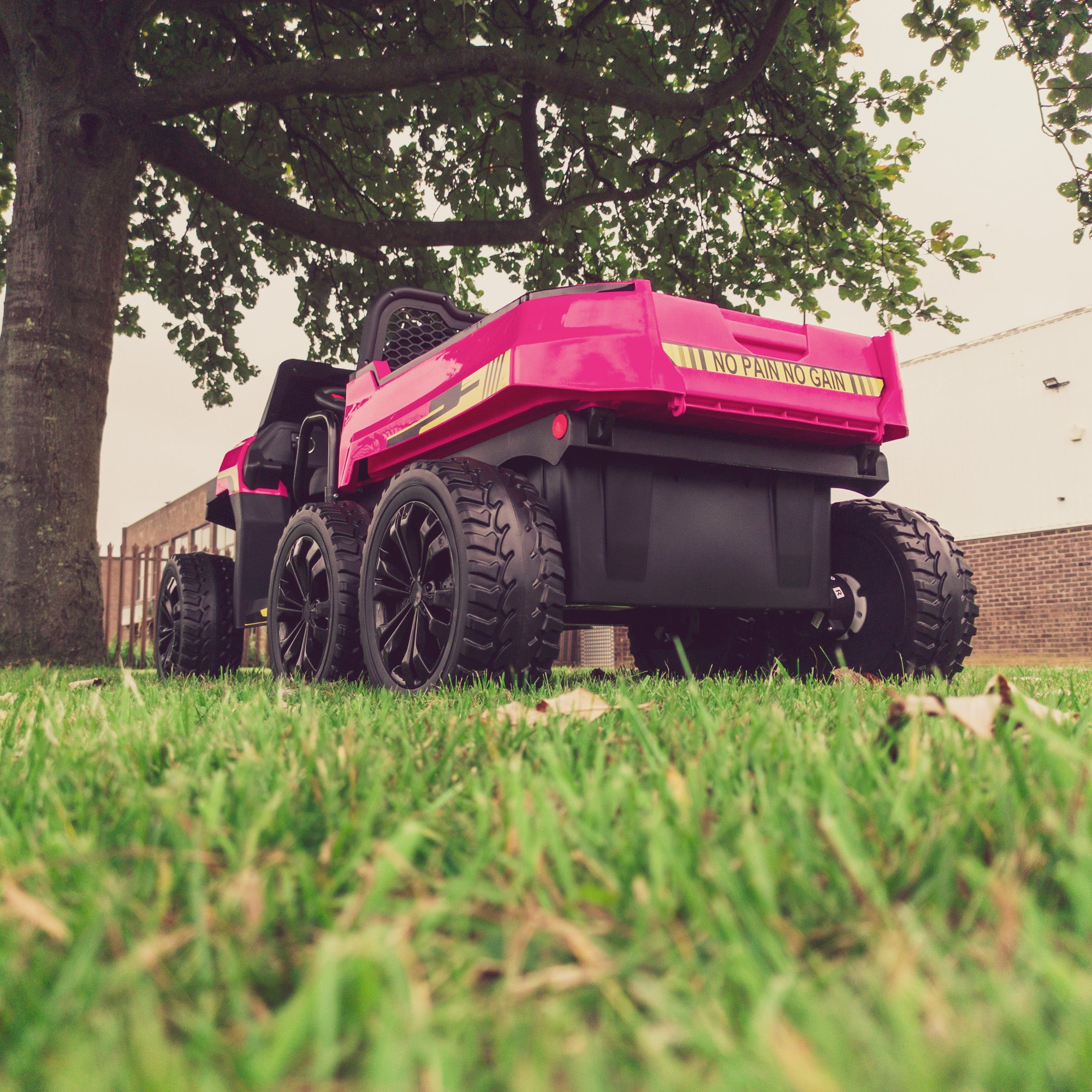 RiiRoo 24V Gatlo™ 4WD Truck