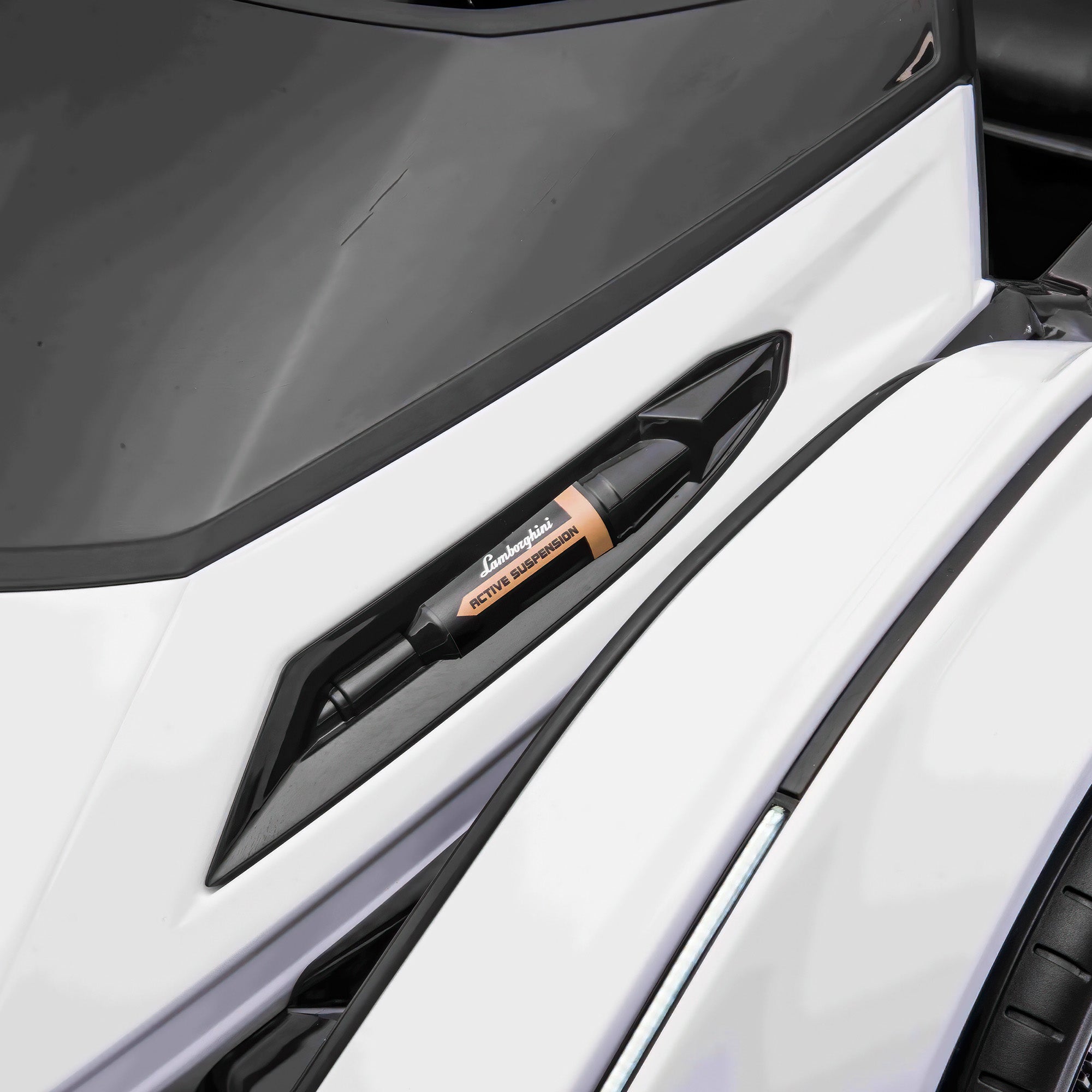 Kids-24V-Parallel-Lamborghini-Vision-Gran-Turismo-V12-Kids-Ride-on ( (42).jpg