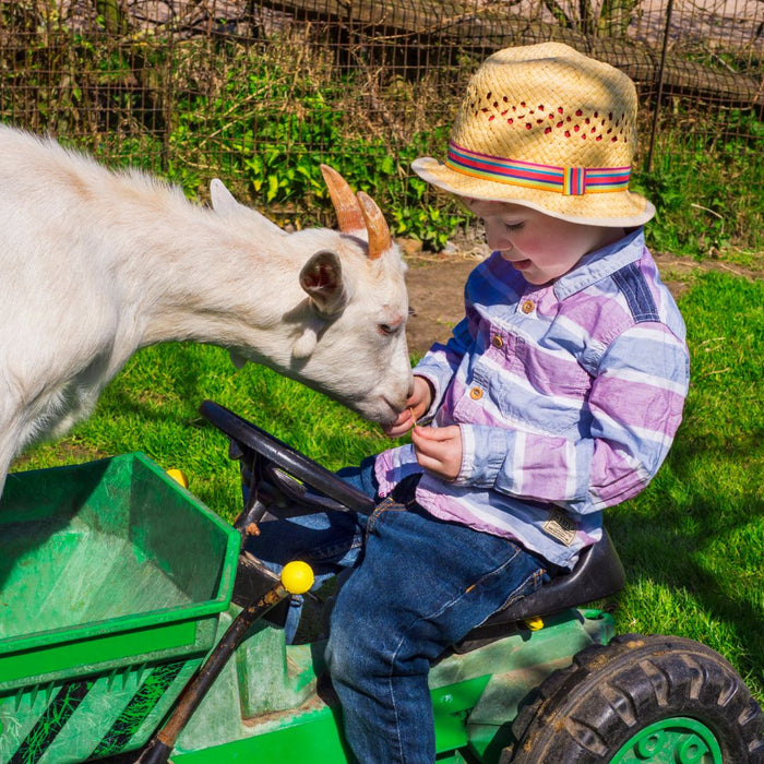 Easy Maintenance Tips for Your Child’s Ride-On Tractor: Keep It Running Smoothly!