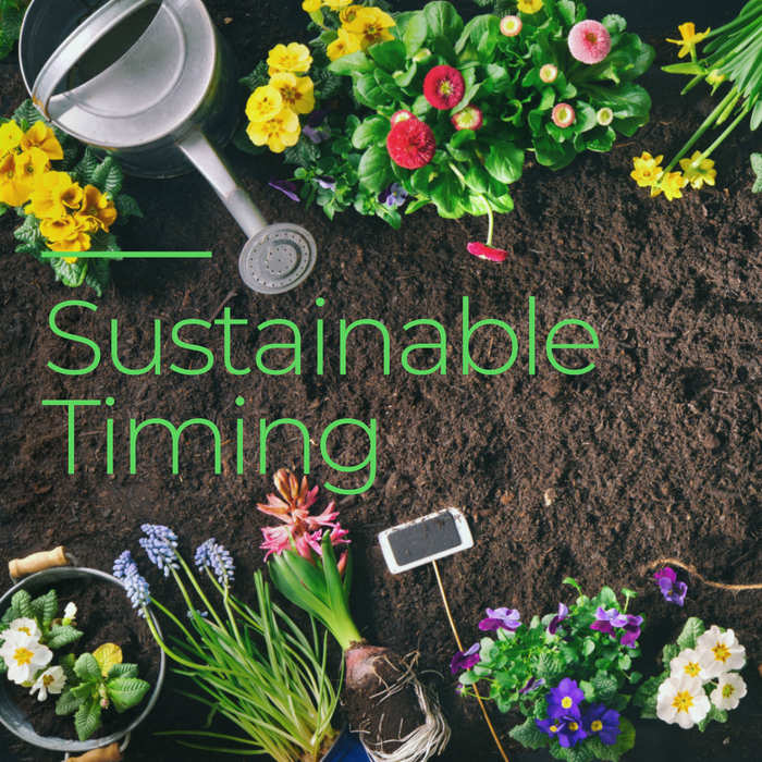 Eco-Friendly Living: Master the Timing of Planting Your Own Food and Flowers