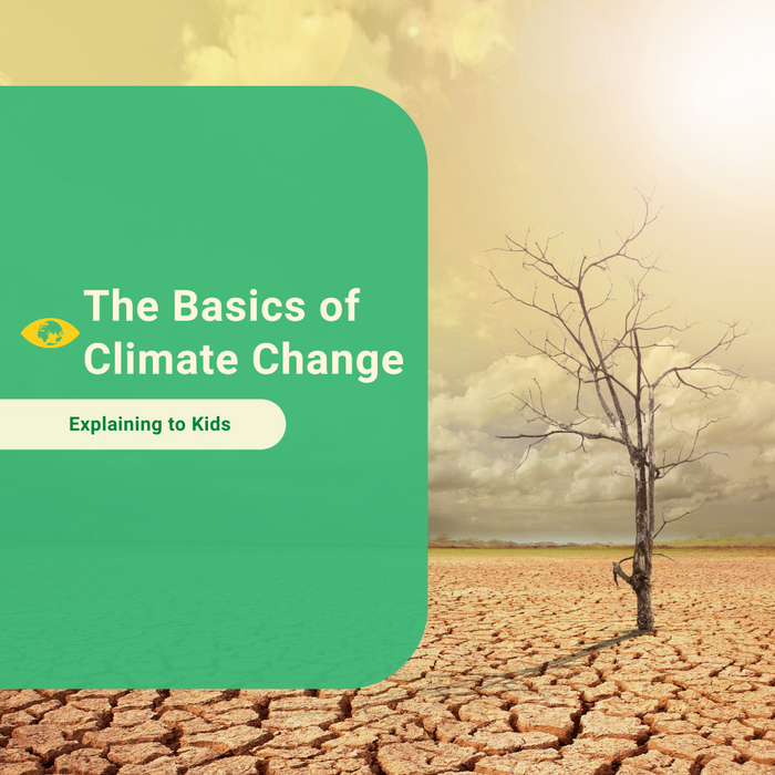 The Basics of Climate Change
