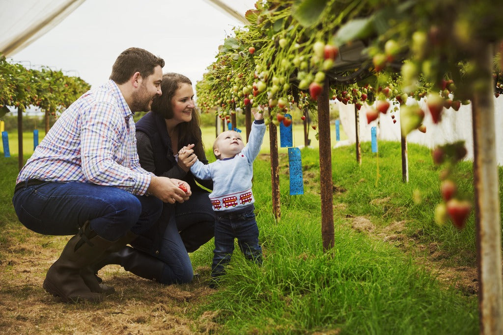 RiiRoo's Top Picks for Berry Picking With Your Kids