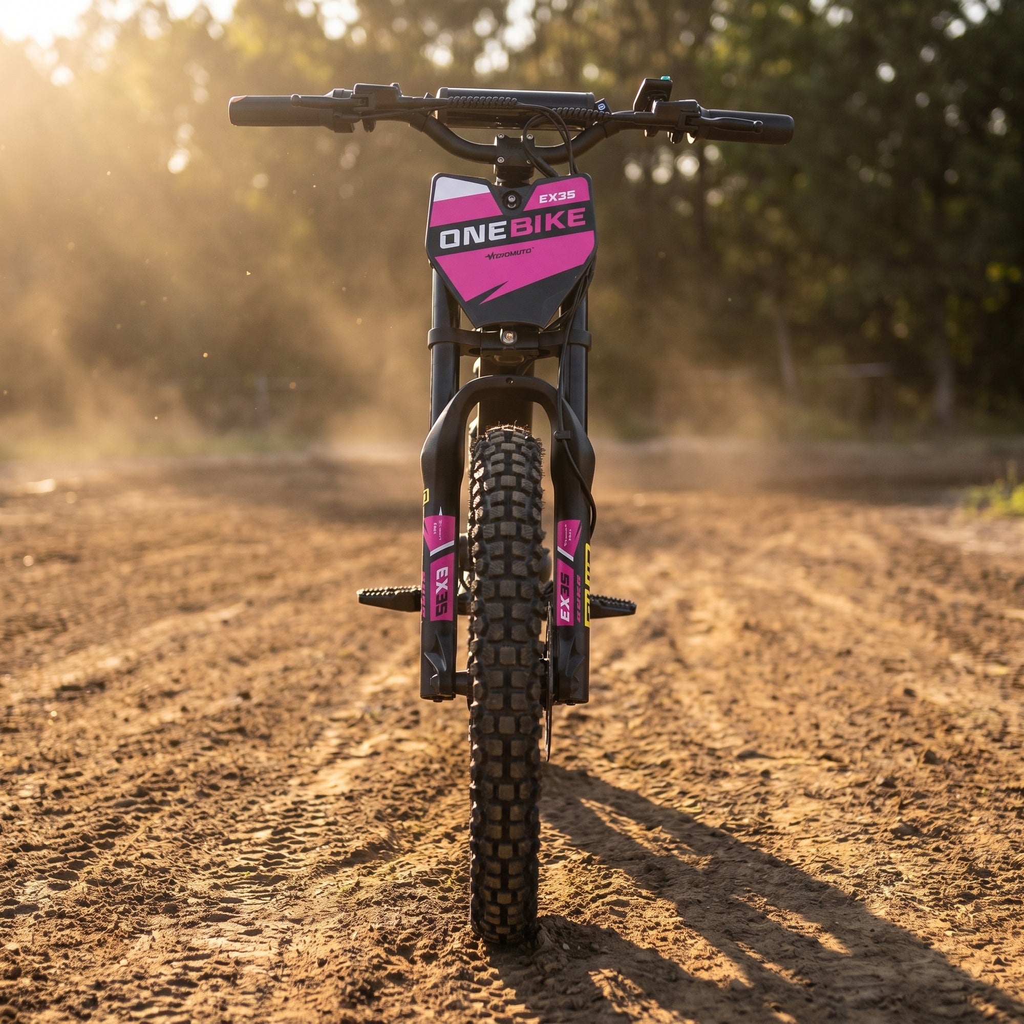 20 Inch 750W Electric Balance Stunt Bike - OneBike-EX3S