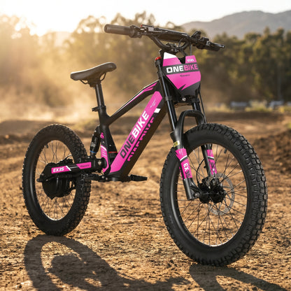 20 Inch 750W Electric Balance Stunt Bike - OneBike-EX3S