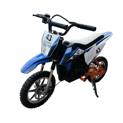 MotoWizz™ 36 V 500 W