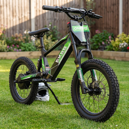 18 Inch 500W Electric Balance Bike OneBike-EX2S