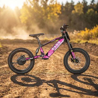 18 Inch 500W Electric Balance Bike OneBike-EX2S