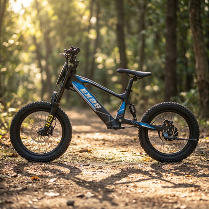 18 Inch 500W Electric Balance Bike OneBike-EX2S