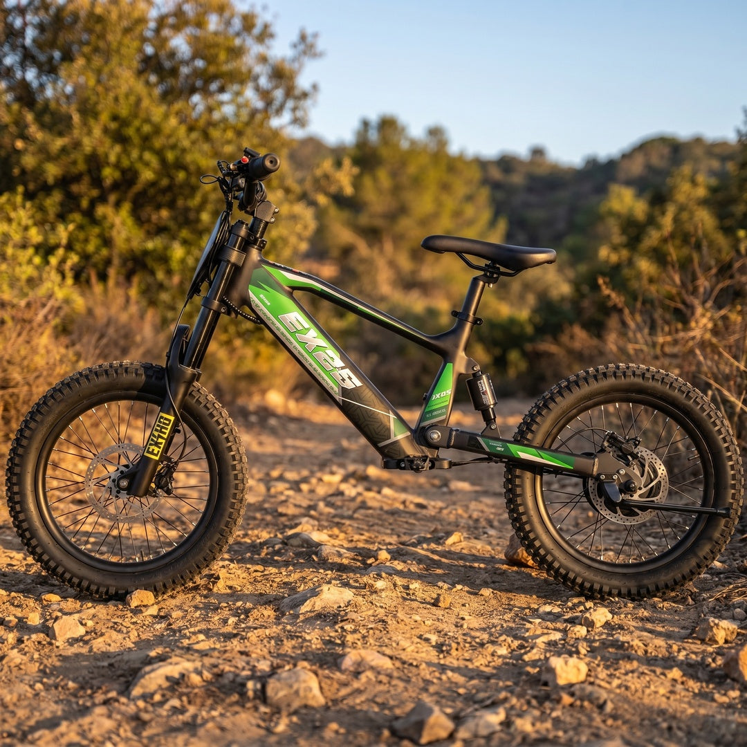 18 Inch 500W Electric Balance Bike OneBike-EX2S