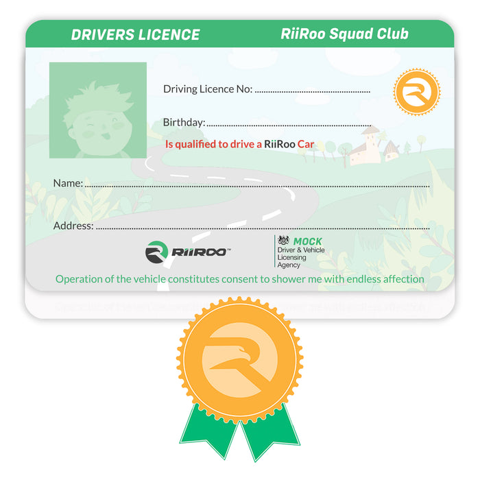 Kids Ride On Driving License