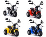 RiiRoo Ducati Chopper Style Kids 6V Battery Electric Ride On Motorbike/Trike White Blue Red